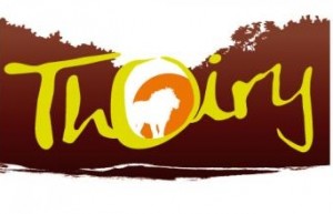 logo vert marron orange lion