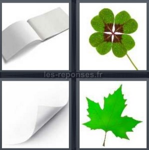 4 images 1 mot feuille trefle