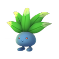 043-Mystherbe