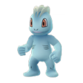 066-Machoc
