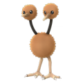 084-Doduo