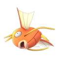 129-Magicarpe