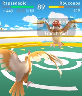 combat entre deux pokémons