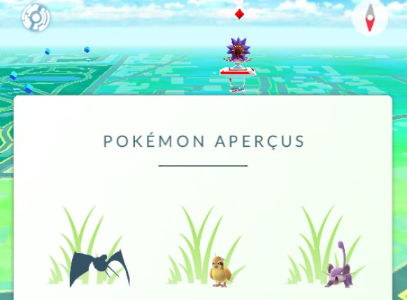 pokemon aperçus pokemon go