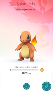 kilometres copain pokemon go