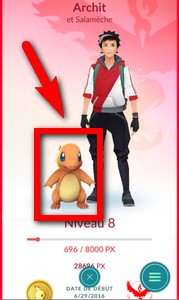 copain pokemon go profil