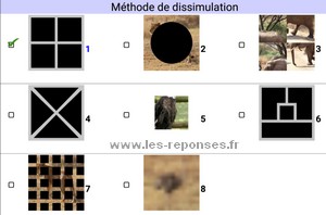 8 méthodes de dissimulation dans Quiz Image