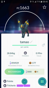 tamao noctali