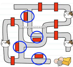 brain test niveau 113