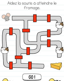 brain test niveau 113