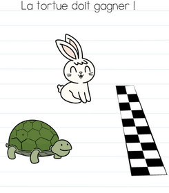 brain test niveau 154 lapin tortue