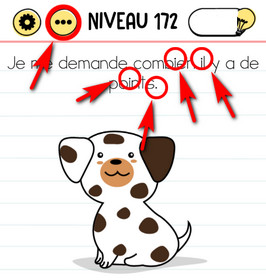 réponse points chien brain test niveau 172