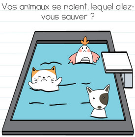 brain test niveau 184 animaux piscine