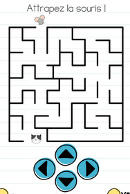 brain test niveau 22 labyrinthe souris chat