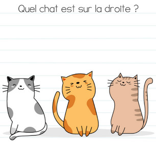 brain test niveau 27 chats