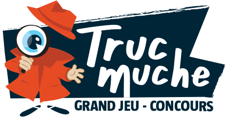 solutions subsidiaire trucmuche 2020